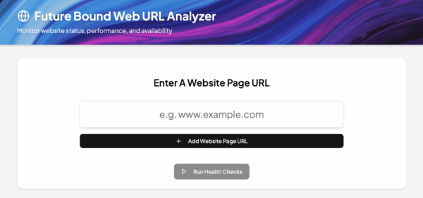 Image that shows Futurebound's Web URL Analyzer